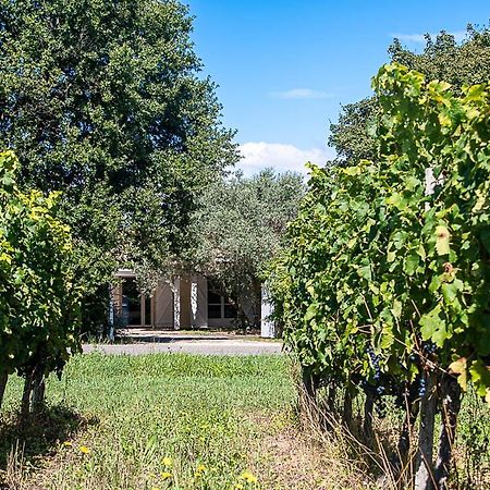 Au Detour Des Vignes Ordonnac Exterior foto