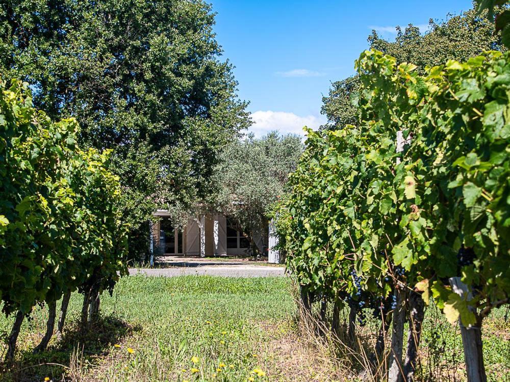 Au Detour Des Vignes Ordonnac Exterior foto